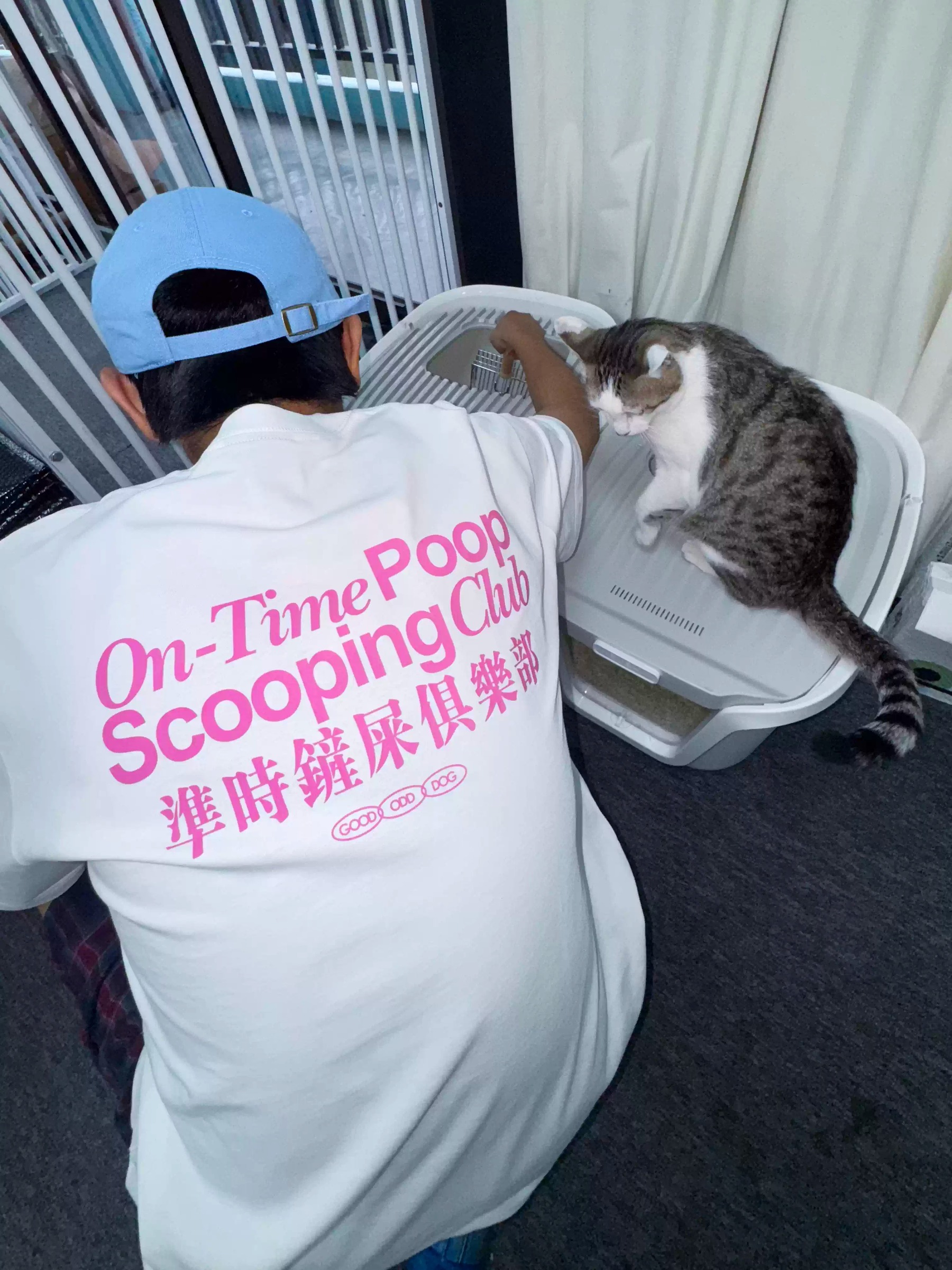 imgi_4_O1CN016TOjZP24qUbLU7f8y_!!2219684747442.jpg_q50.jpg_