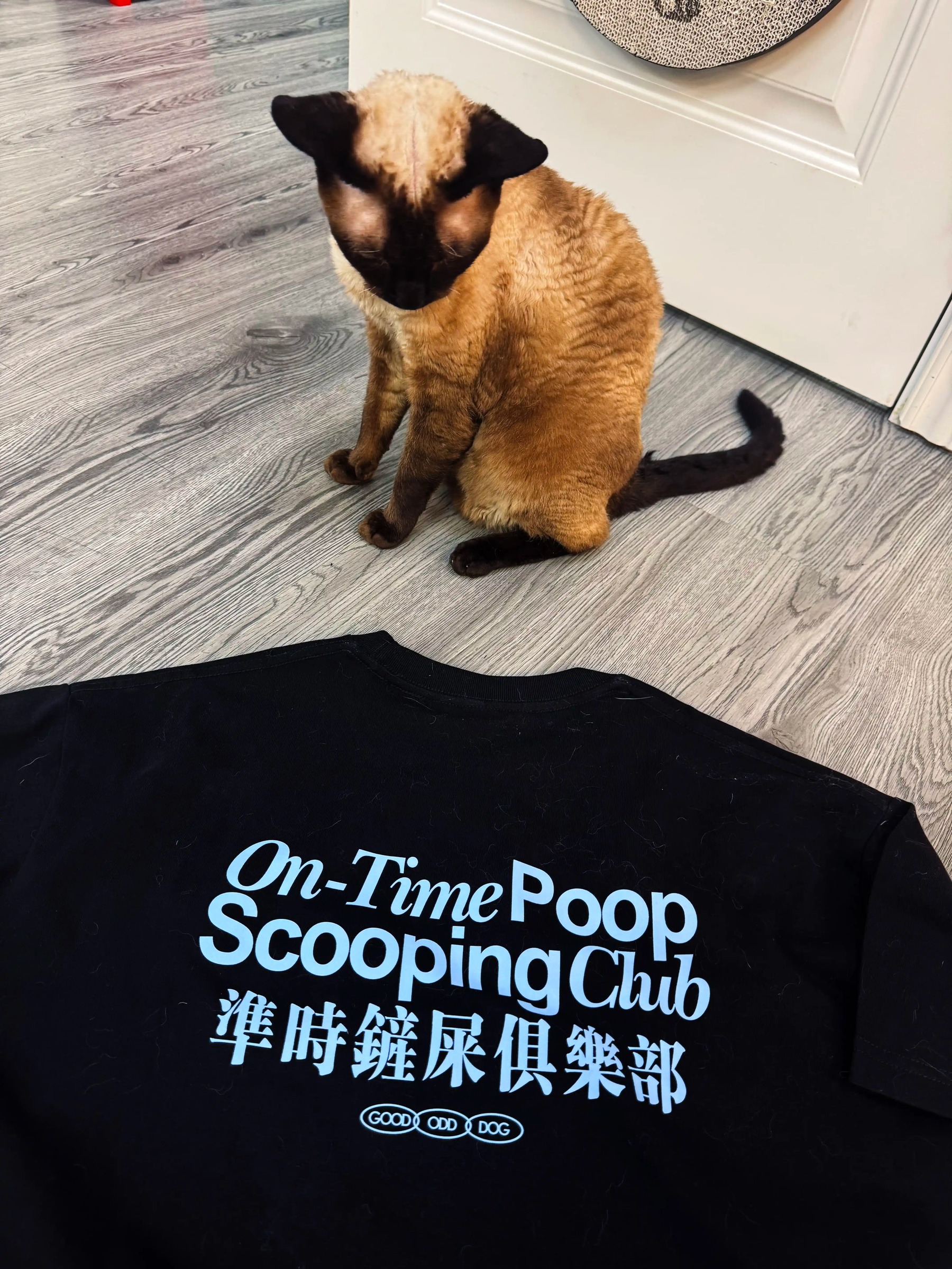 imgi_7_O1CN01rKDi2P24qUbK3cXzy_!!2219684747442.jpg_q50.jpg_