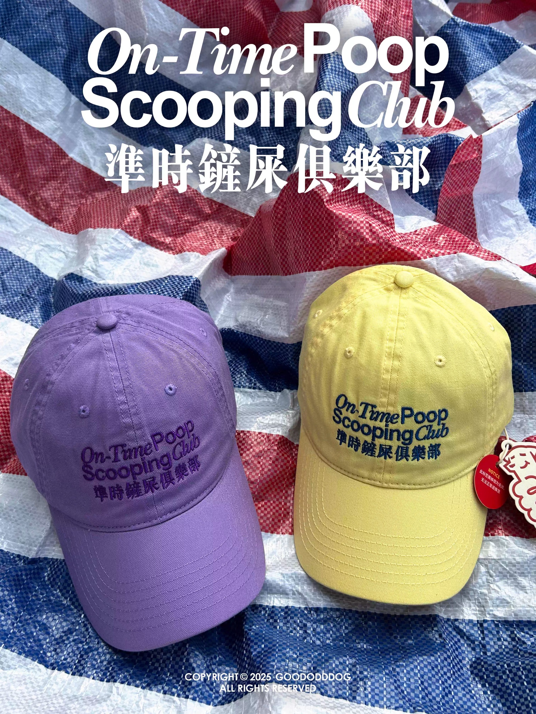 imgi_27_O1CN01uZ8S6E24qUbezPL3e_!!2219684747442