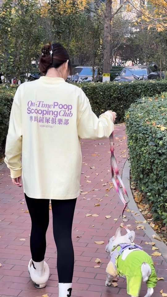 imgi_12_O1CN01eBozqT2Bdr0RyAqMf_!!4611686018427383434-0-rate.jpg_960x960.jpg_