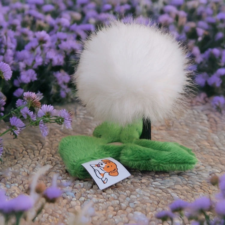 s3JrJXQZe4AqyR7s3B6uL9