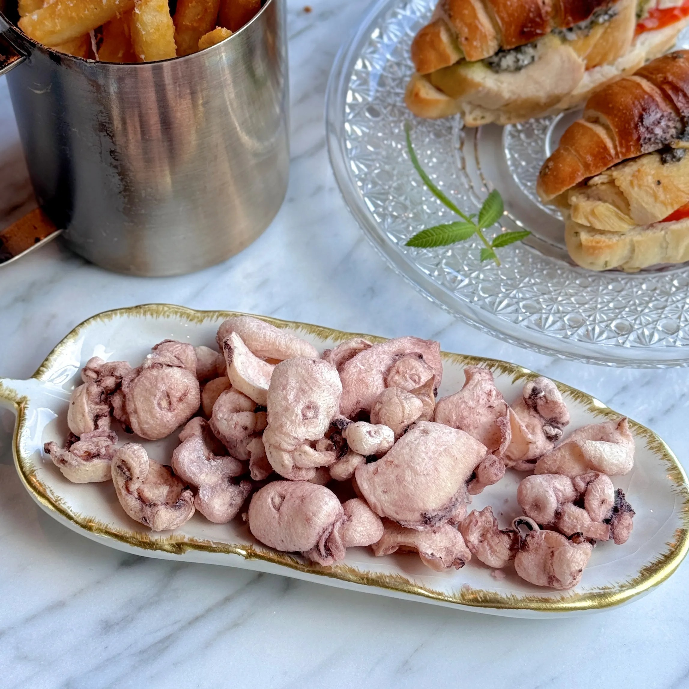 Vjp5VS9YZSv7nt4Wd4yMxJ