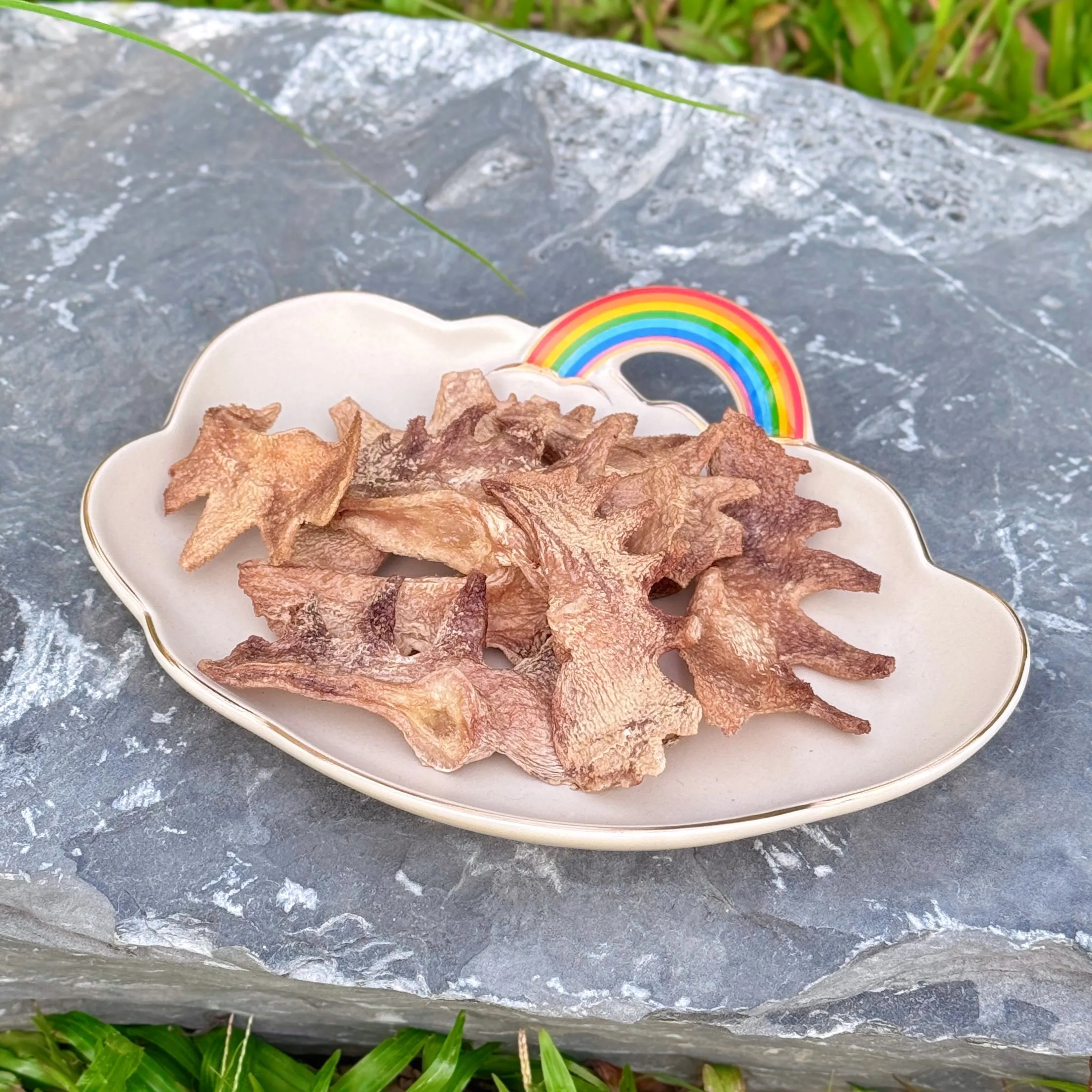 RceEpJTpM7fqiW3bi2MNr7