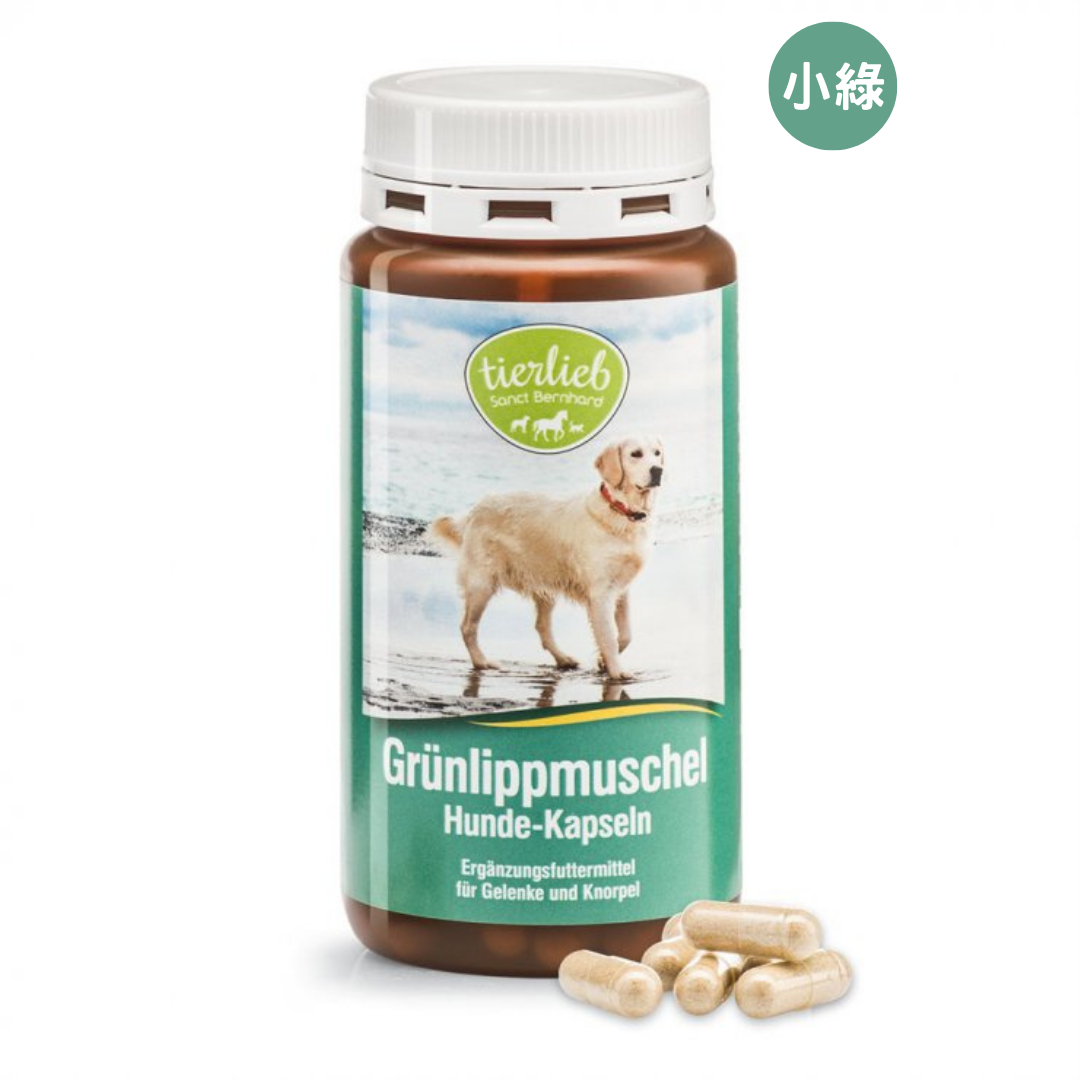 84JenTueyv4bmhAxUPWvBj