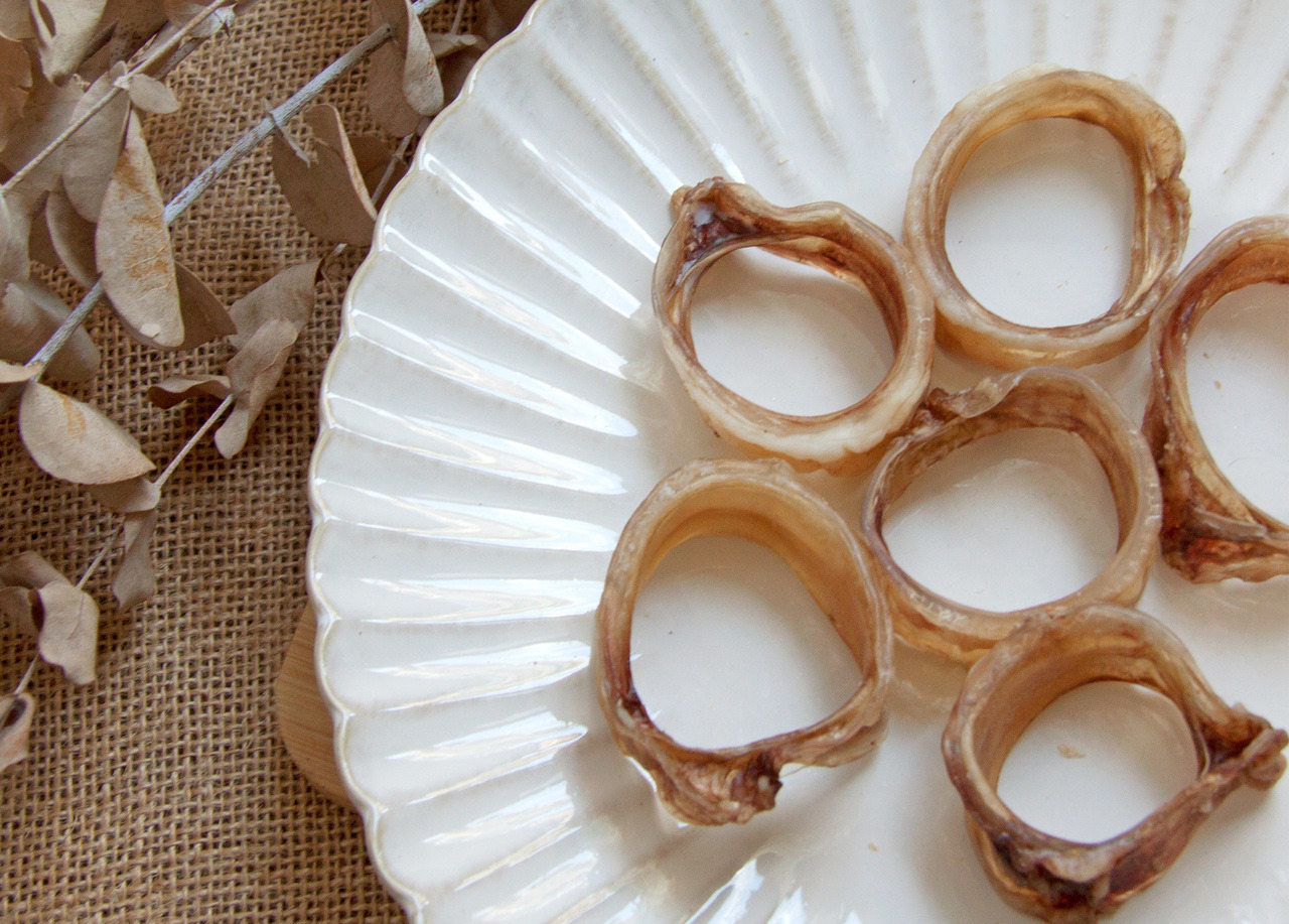 L6nutK6MybgbmAKvoCp6sY