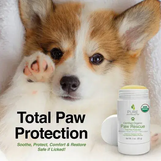 L5MBSwnpeUvDQLcQwMZiTV