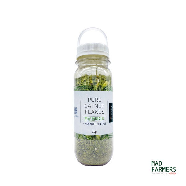 P6DK3yyeFbGqsRecEXpWYk