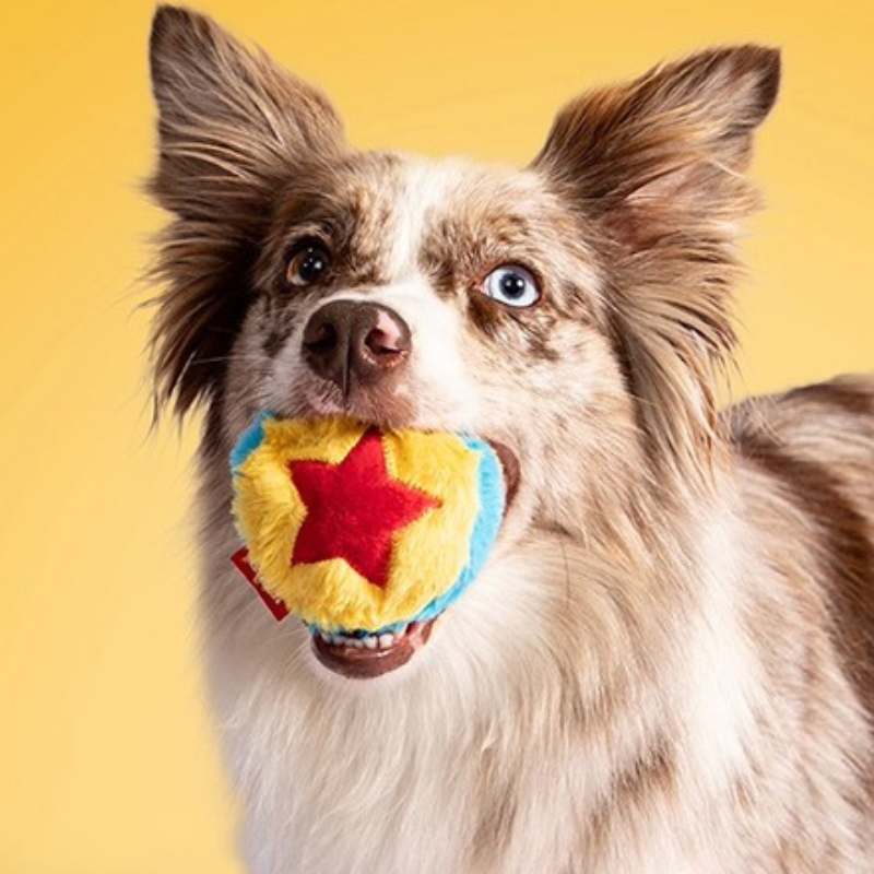 WhXnedyuQTP93Ay49EtHVb