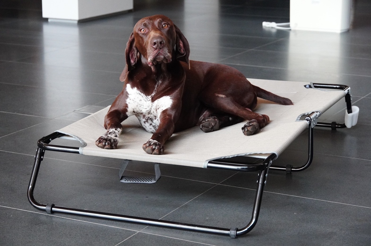 jdQviftkQ8vajsgsmnYLcJ