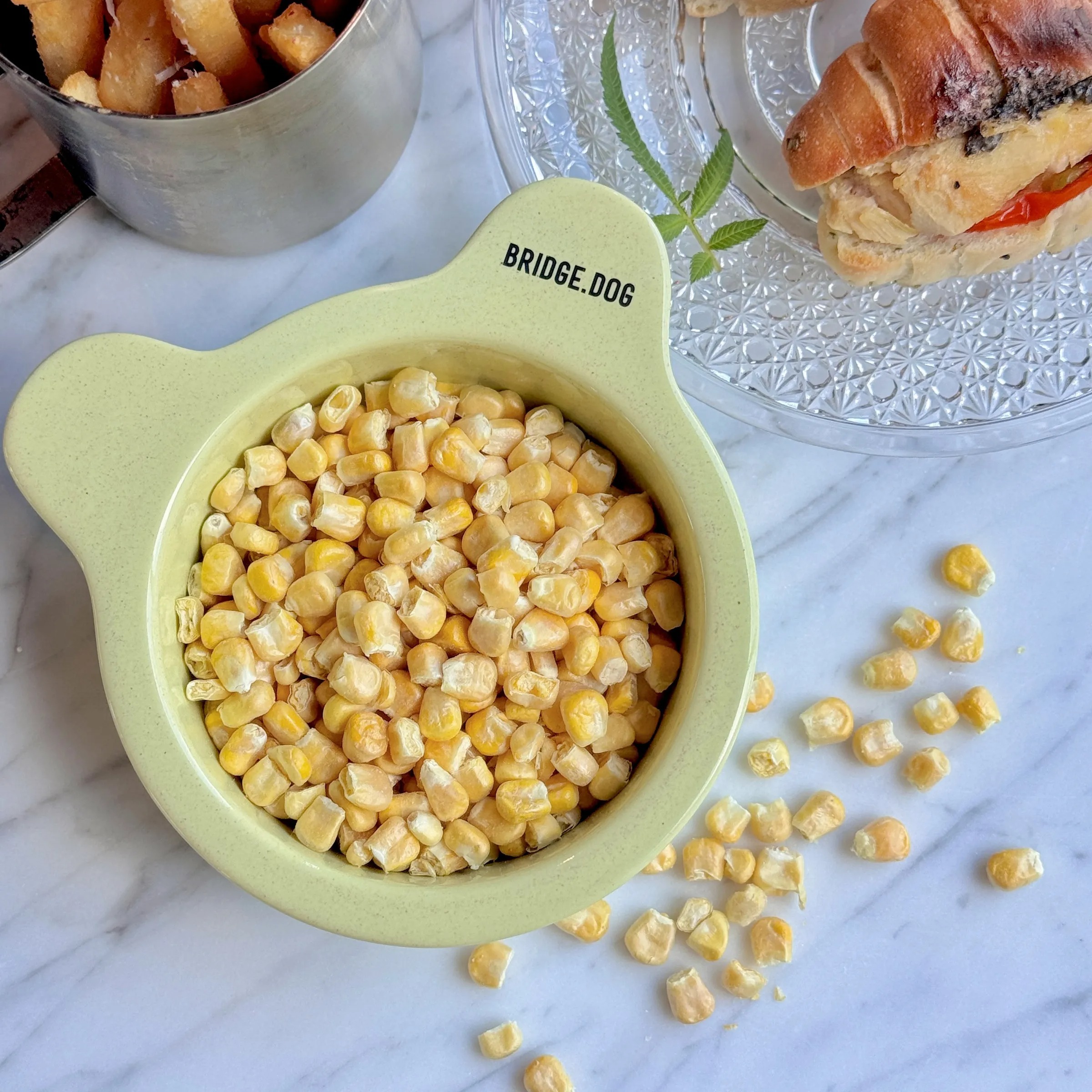 anDhMZn3zMLKtDnbGCktKf