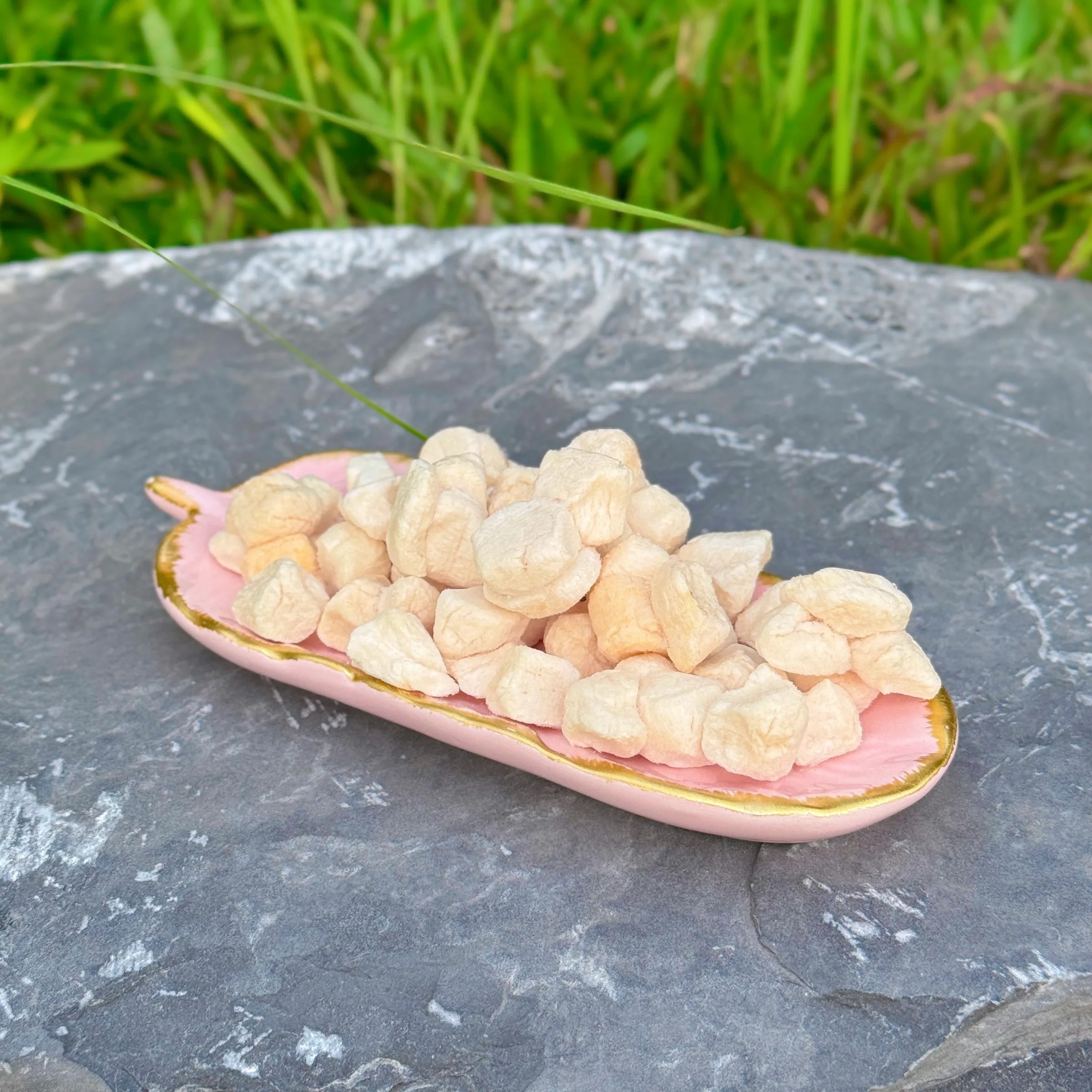 D85KWyUHeGpnizhRzKqtXT