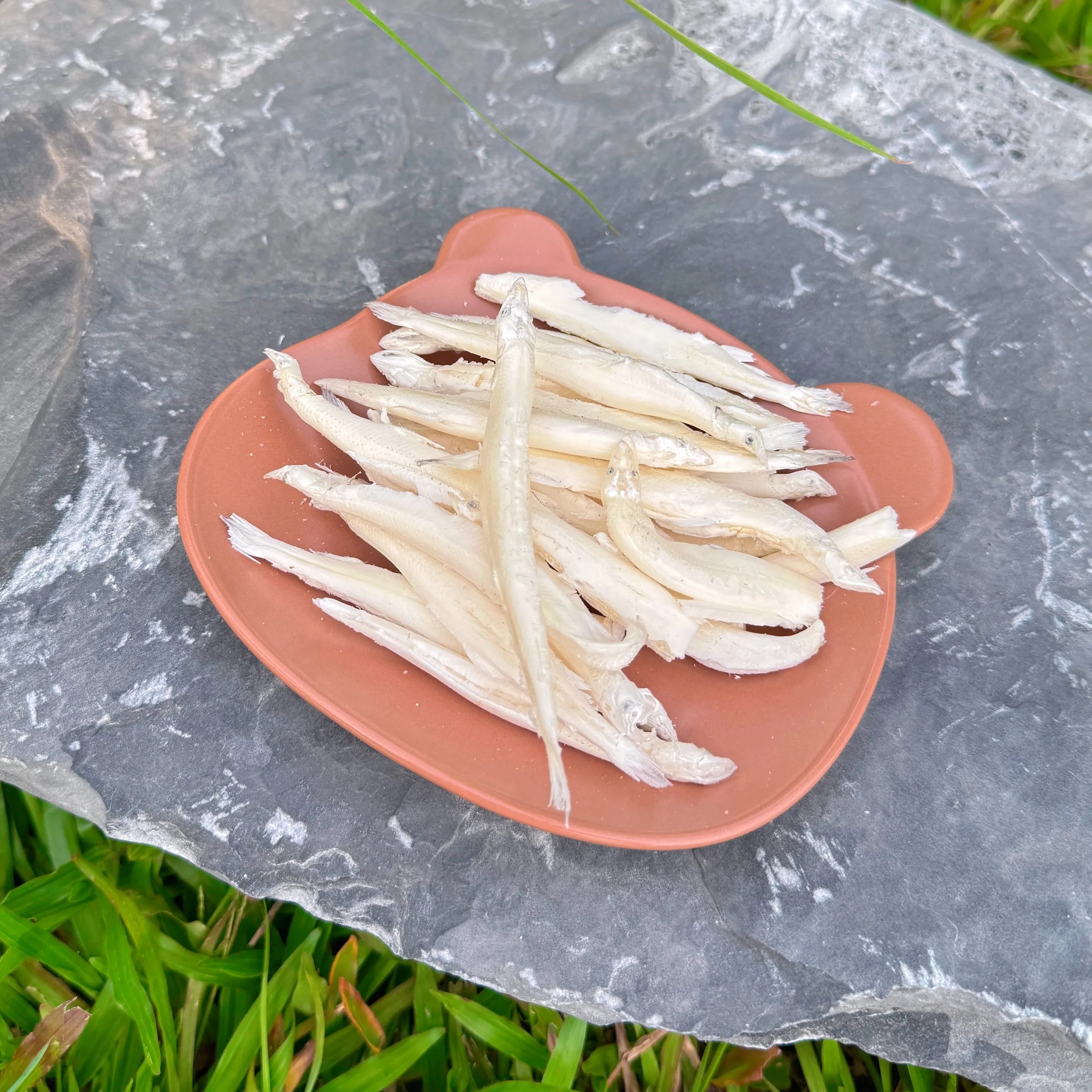 odv5nhCuJUUWVVKaxU276V