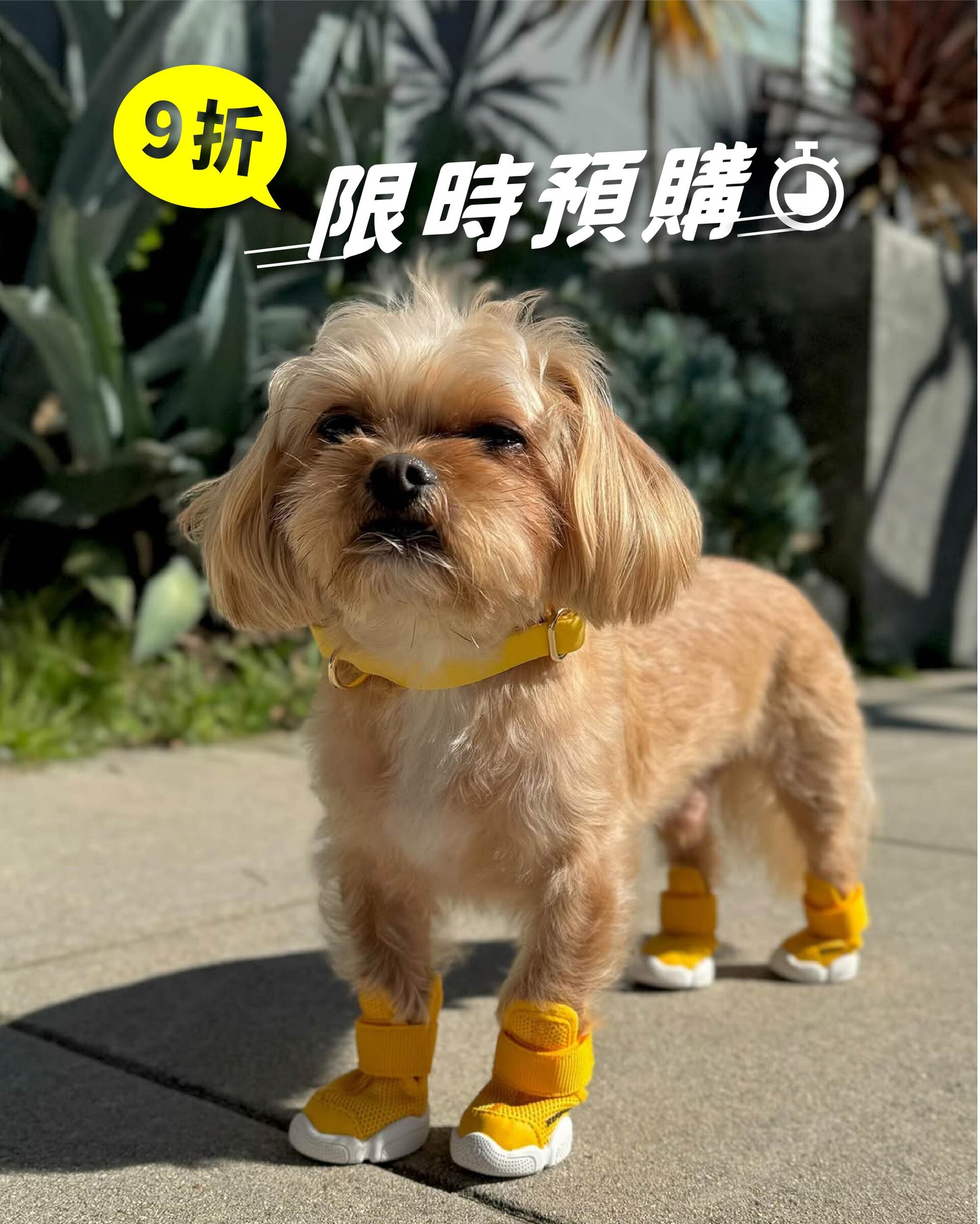 65VvAR2WLLowBM7LpprVab