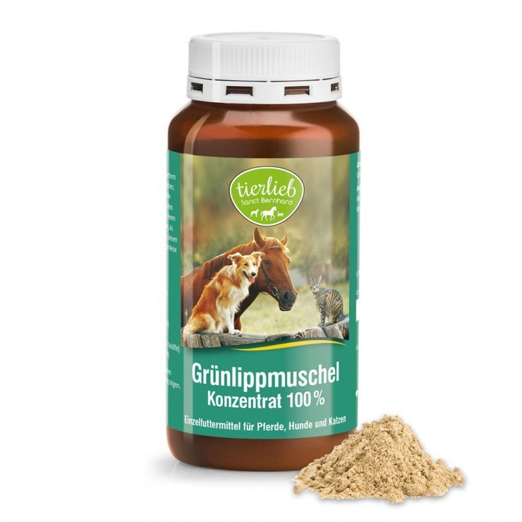 WzTWvHJPR3FQ6AFYwbhevV