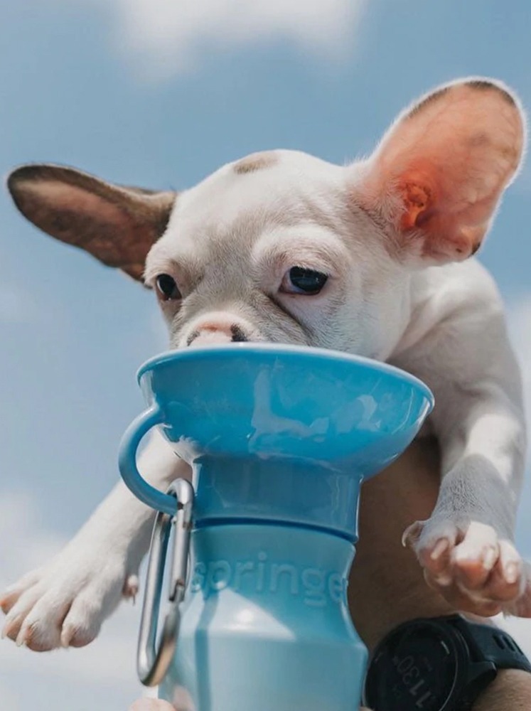 QUJ952skxFNZXJ2nyAySNC