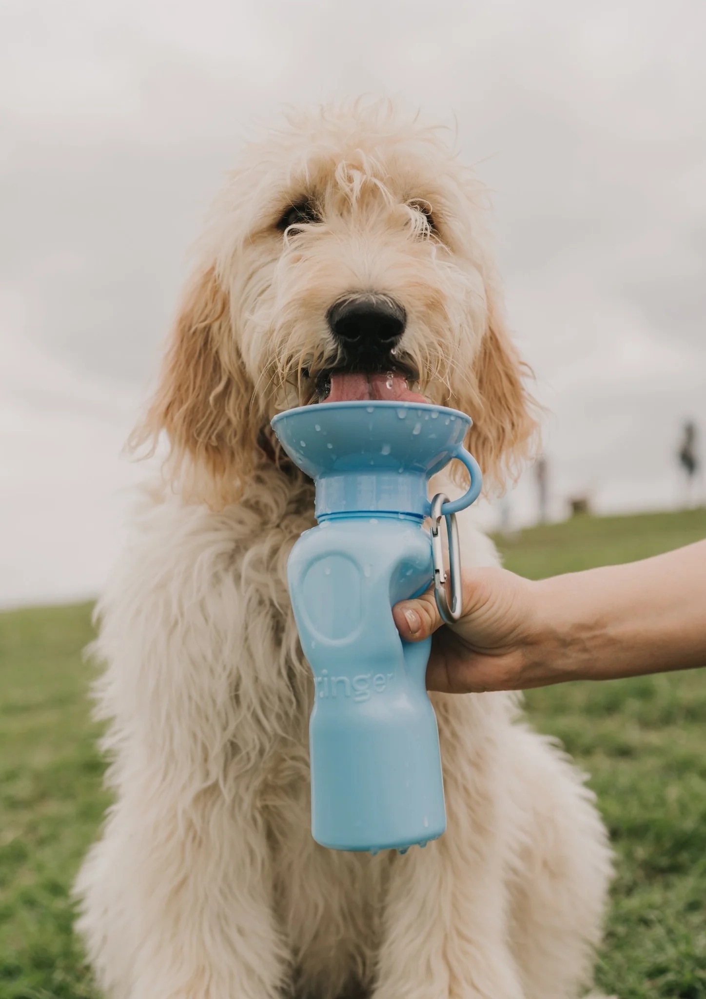 efXvzrLGajKrZrUgDFPNH4