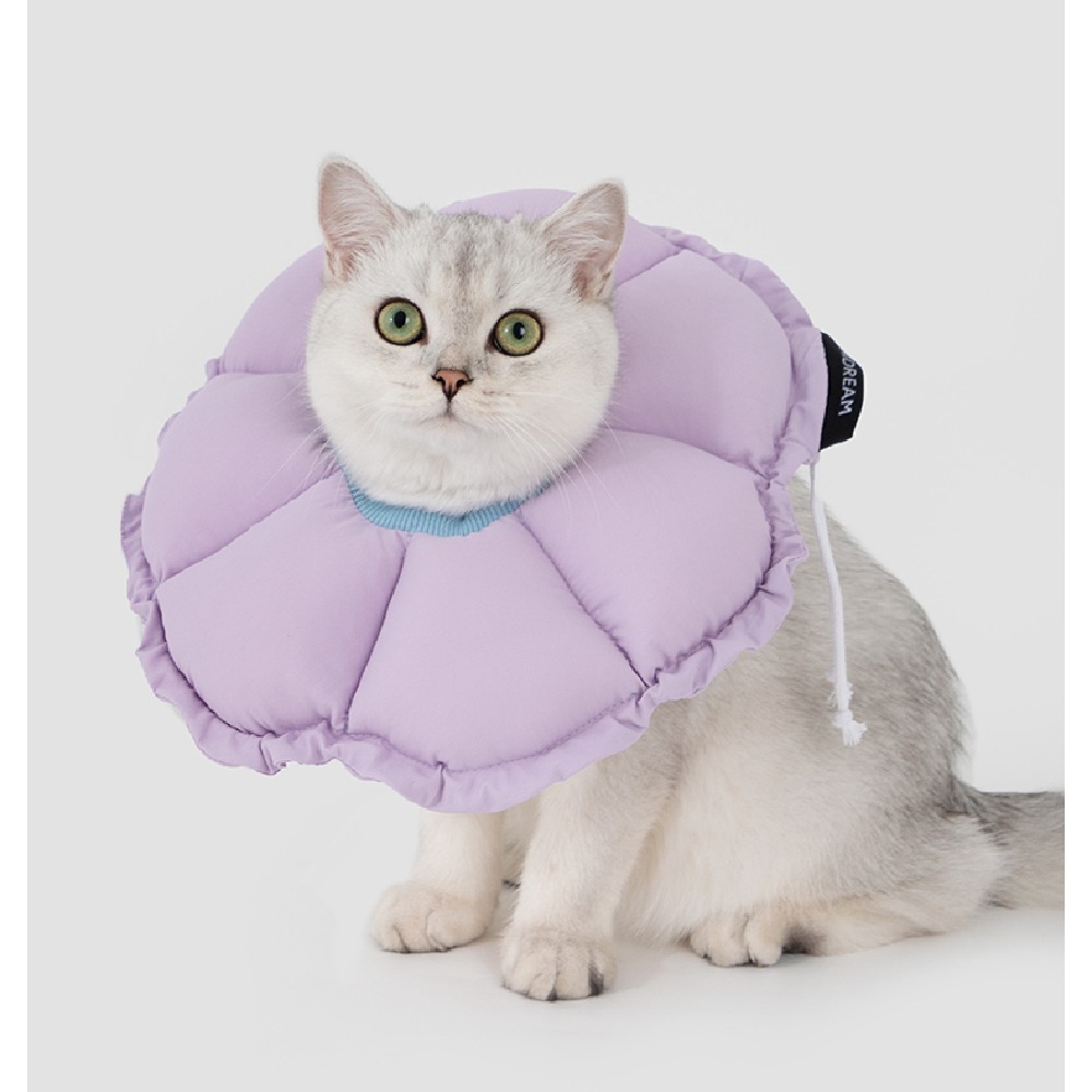 GnWgsN7k9MzwsE9y3hPst