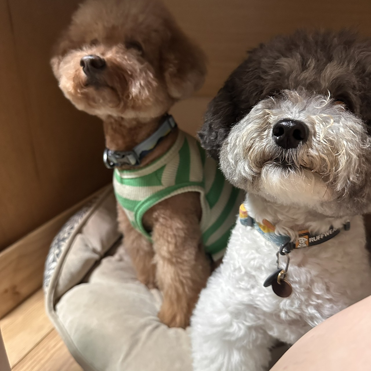 qDBQkdmcXYbopKJibAQVAT