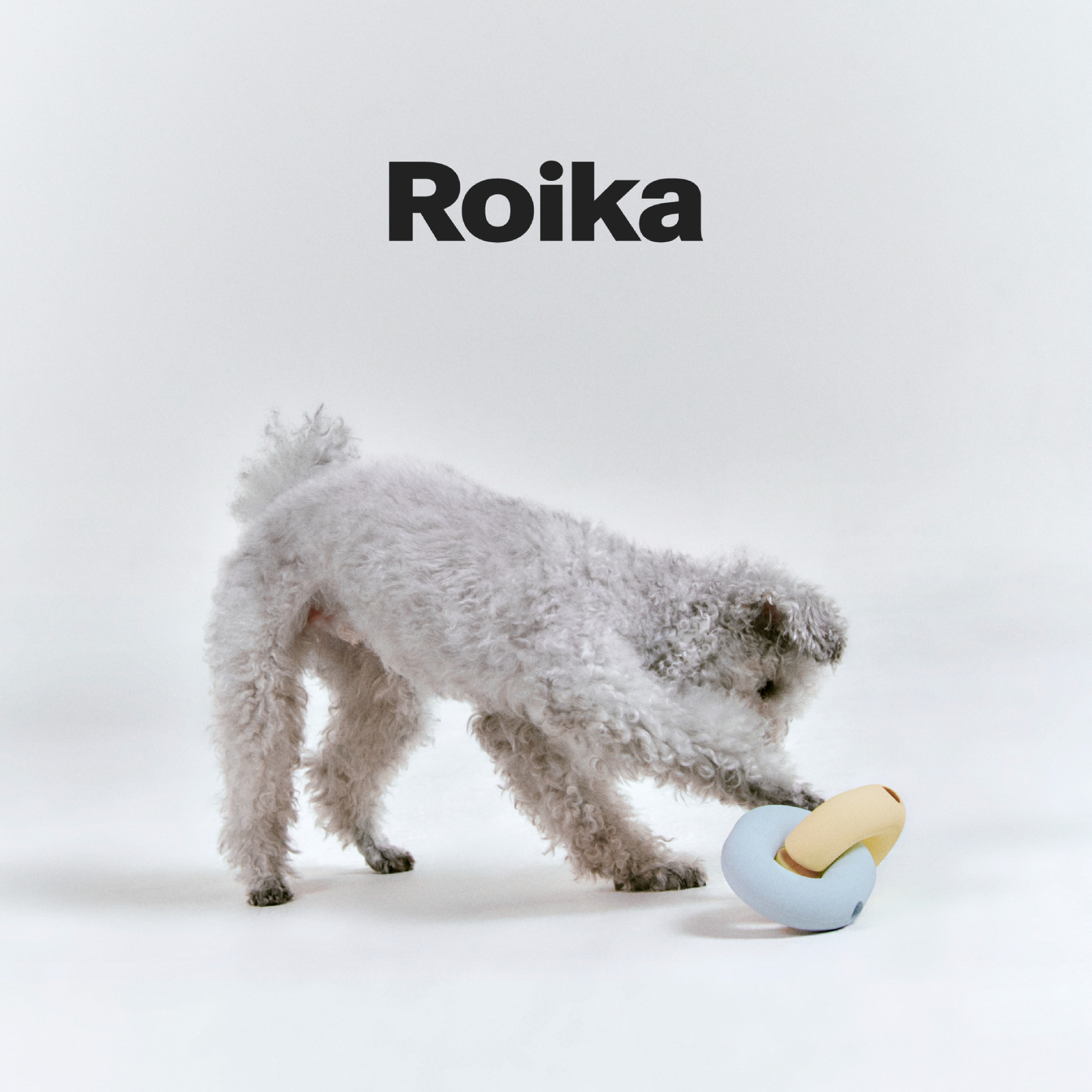 fxqyakttV9hhLEPCfhVyh