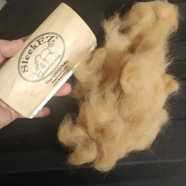 N77Bk4BXGVr5YHiURWRCHE