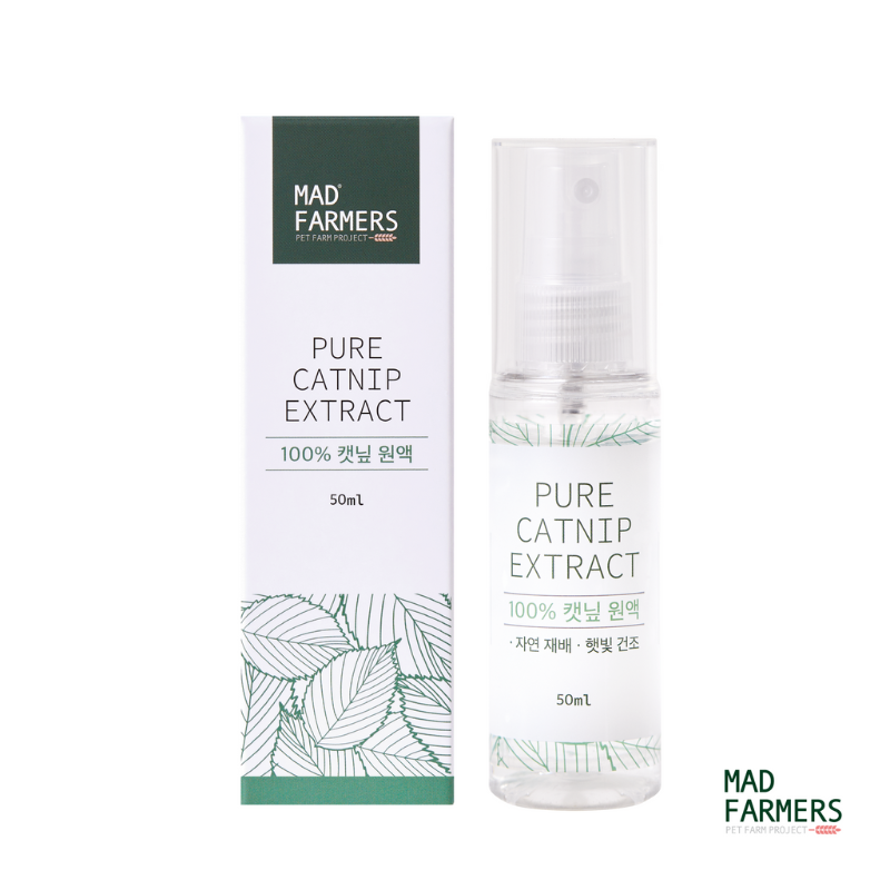 DpWAE64SFTmgacjE6cieLM