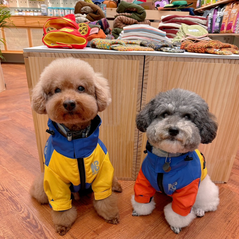 MUHA7AhiJgNqa653Zz27dh