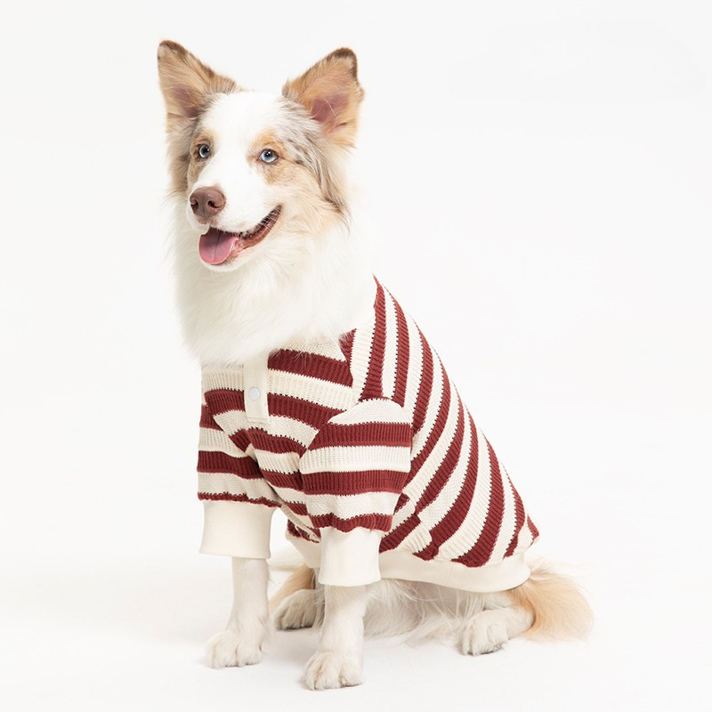 8esojHcXuZ4ZgP2tYWstnR