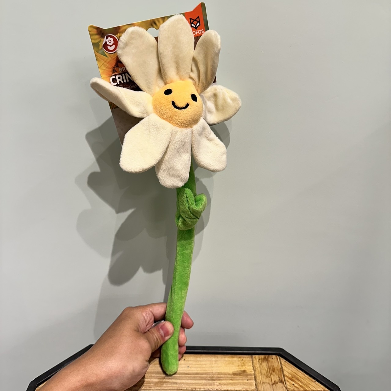 JzkZSYDtm4RH2CVQE4NtkP