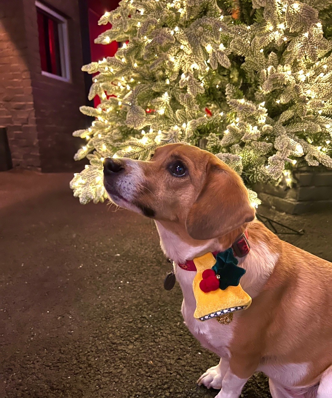 imgi_99_SE-be4c22c9-bd51-4386-8823-de1f5c7d07ea