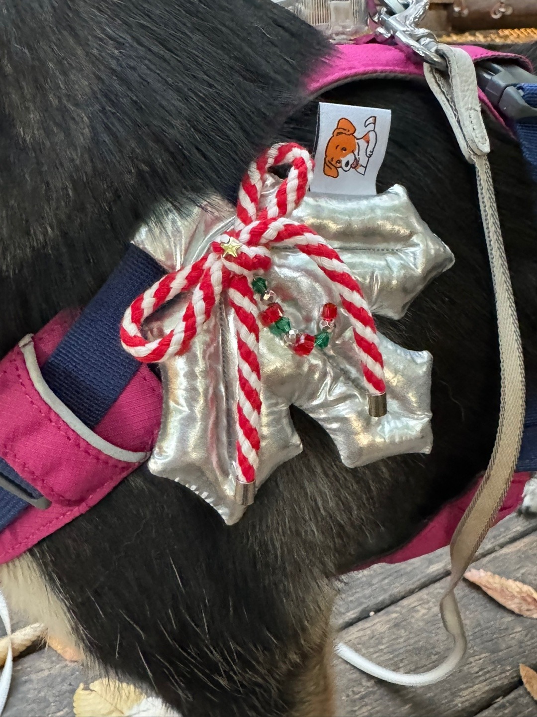 imgi_82_KakaoTalk_20241102_205227010_05