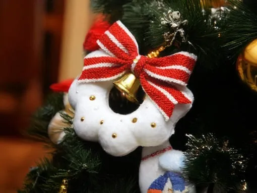 imgi_5_11146963724097722_438001529