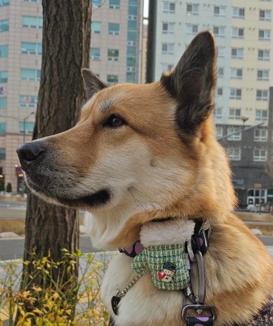 imgi_83_SE-9727a1db-b3d2-438f-8d57-00f569f94816