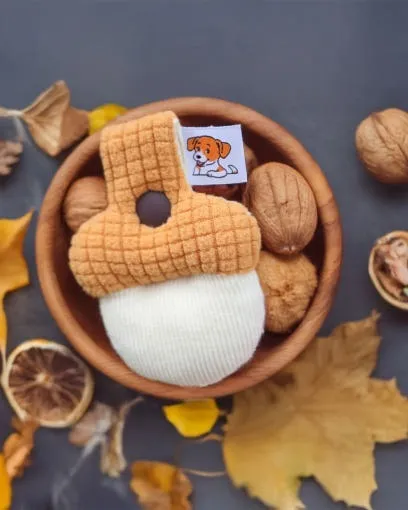 imgi_5_4341618361554822_1961240677