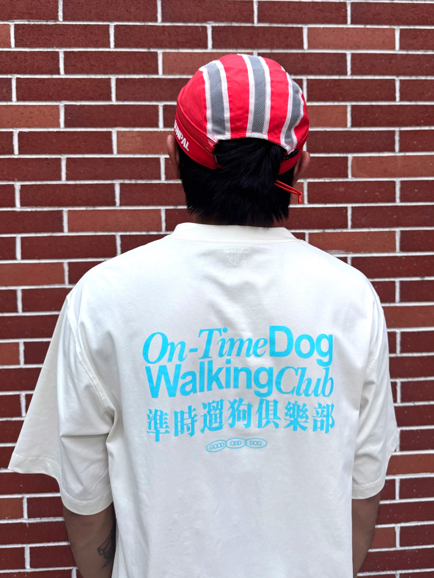 imgi_6_O1CN0135EQ4U24qUc0IG939_!!2219684747442.jpg_q50.jpg_