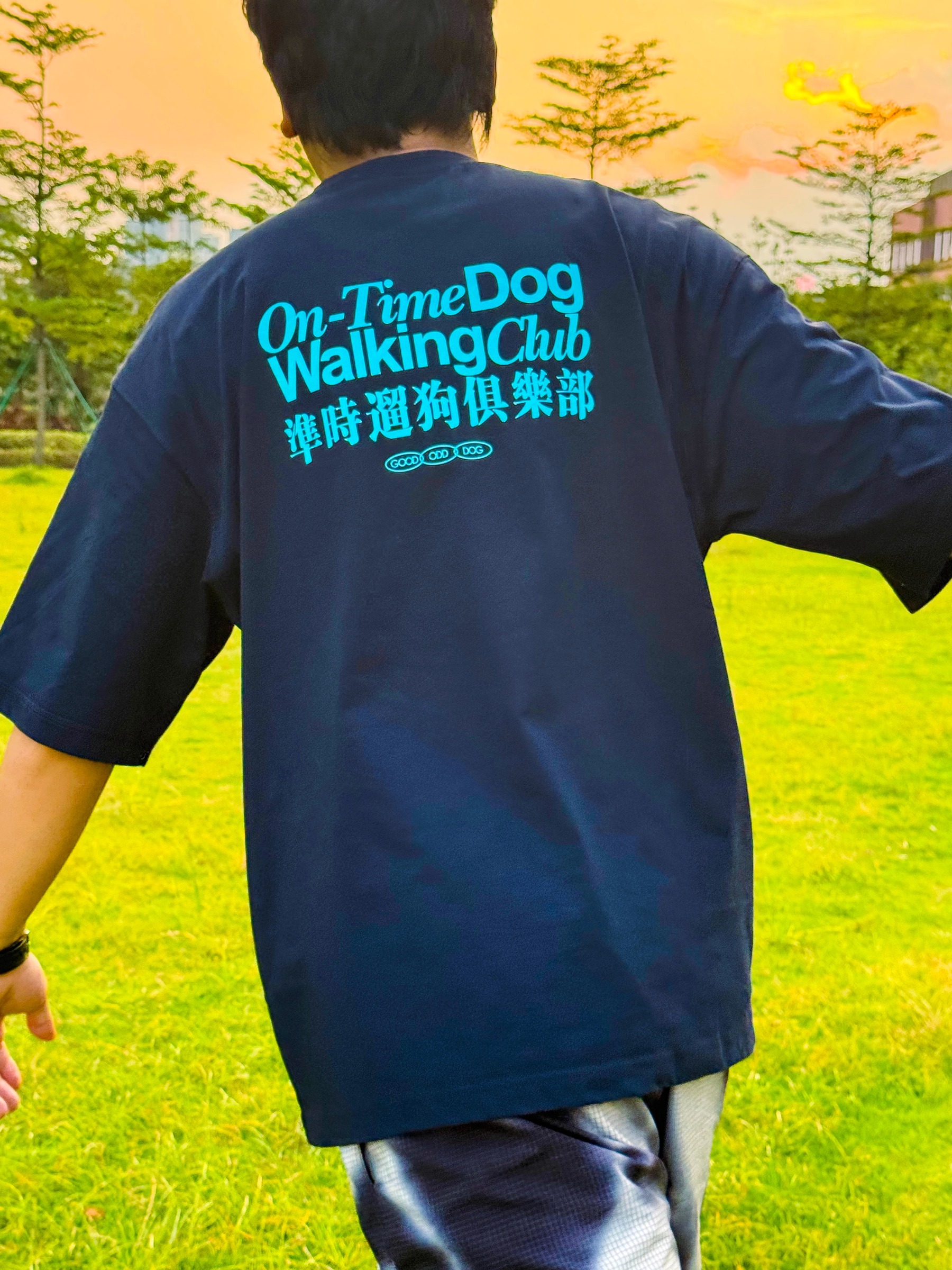 imgi_28_O1CN01LKRpIK24qUbzMMBlZ_!!2219684747442