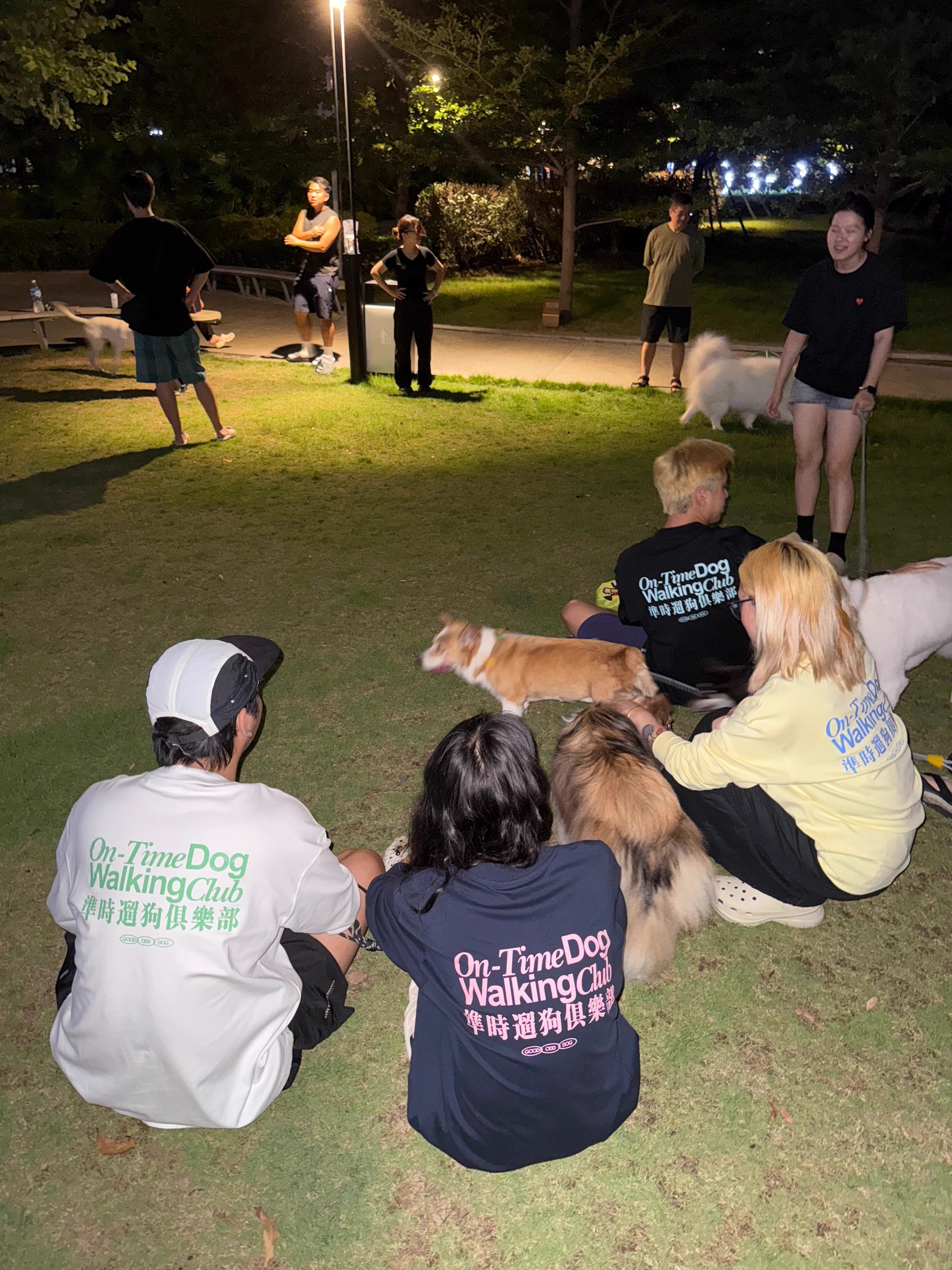 imgi_39_O1CN01S8znmI24qUc0IDnN1_!!2219684747442