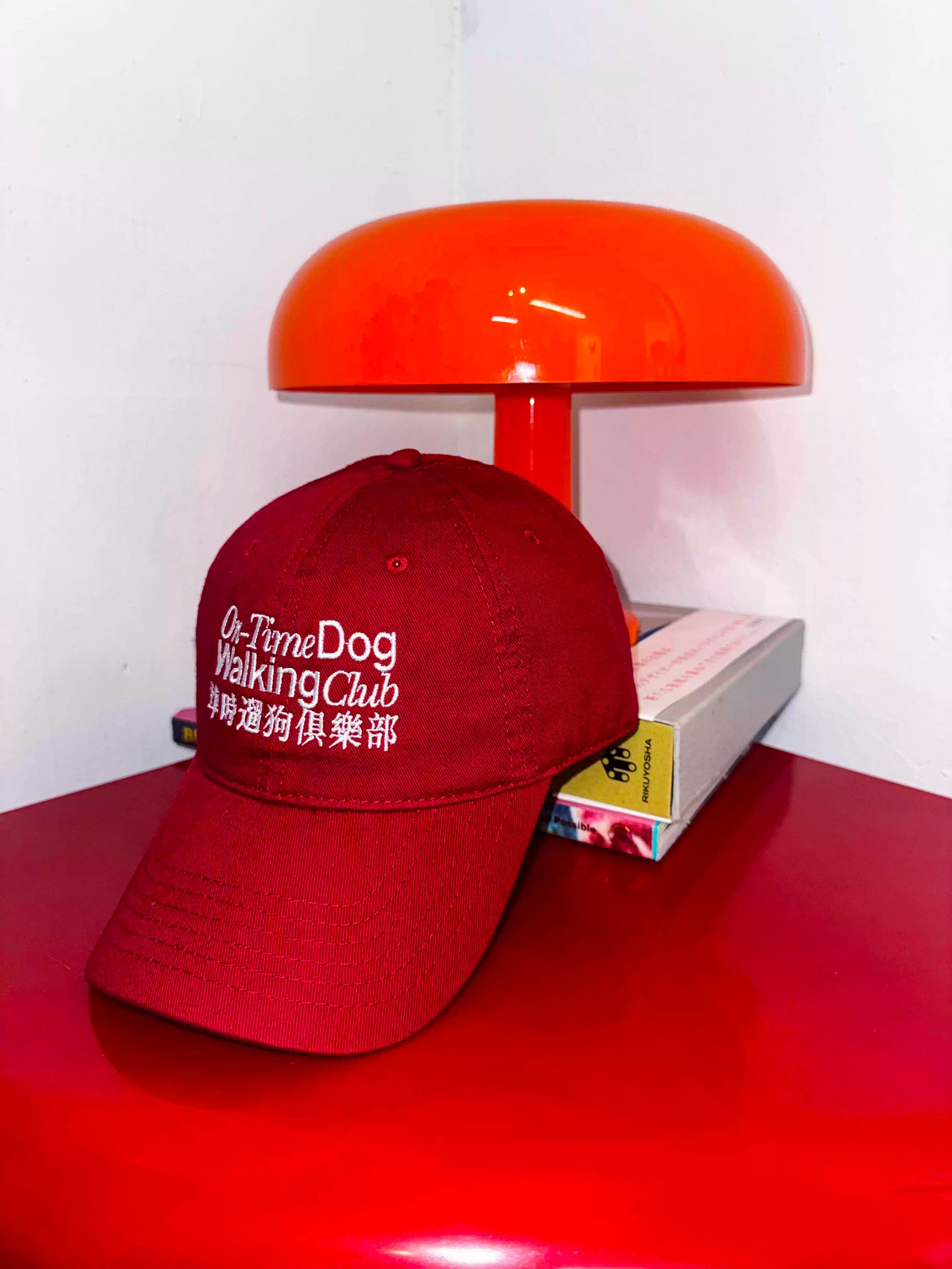 imgi_30_O1CN01X9g88G24qUd5RCEOS_!!2219684747442.jpg_