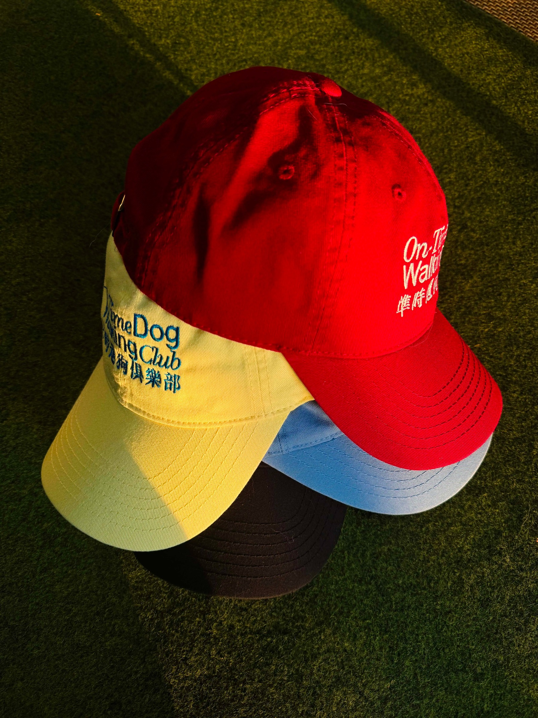 imgi_20_O1CN01HK9KUM24qUczKcFI9_!!2219684747442