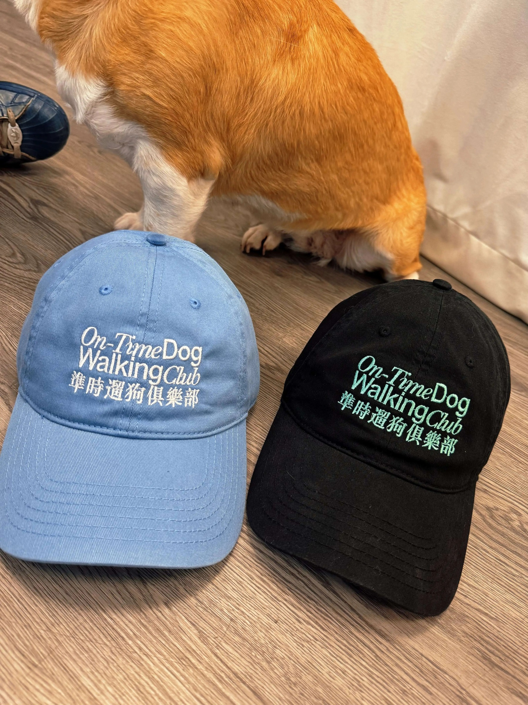 imgi_39_O1CN01rMzxOA24qUbJQzdqX_!!2219684747442