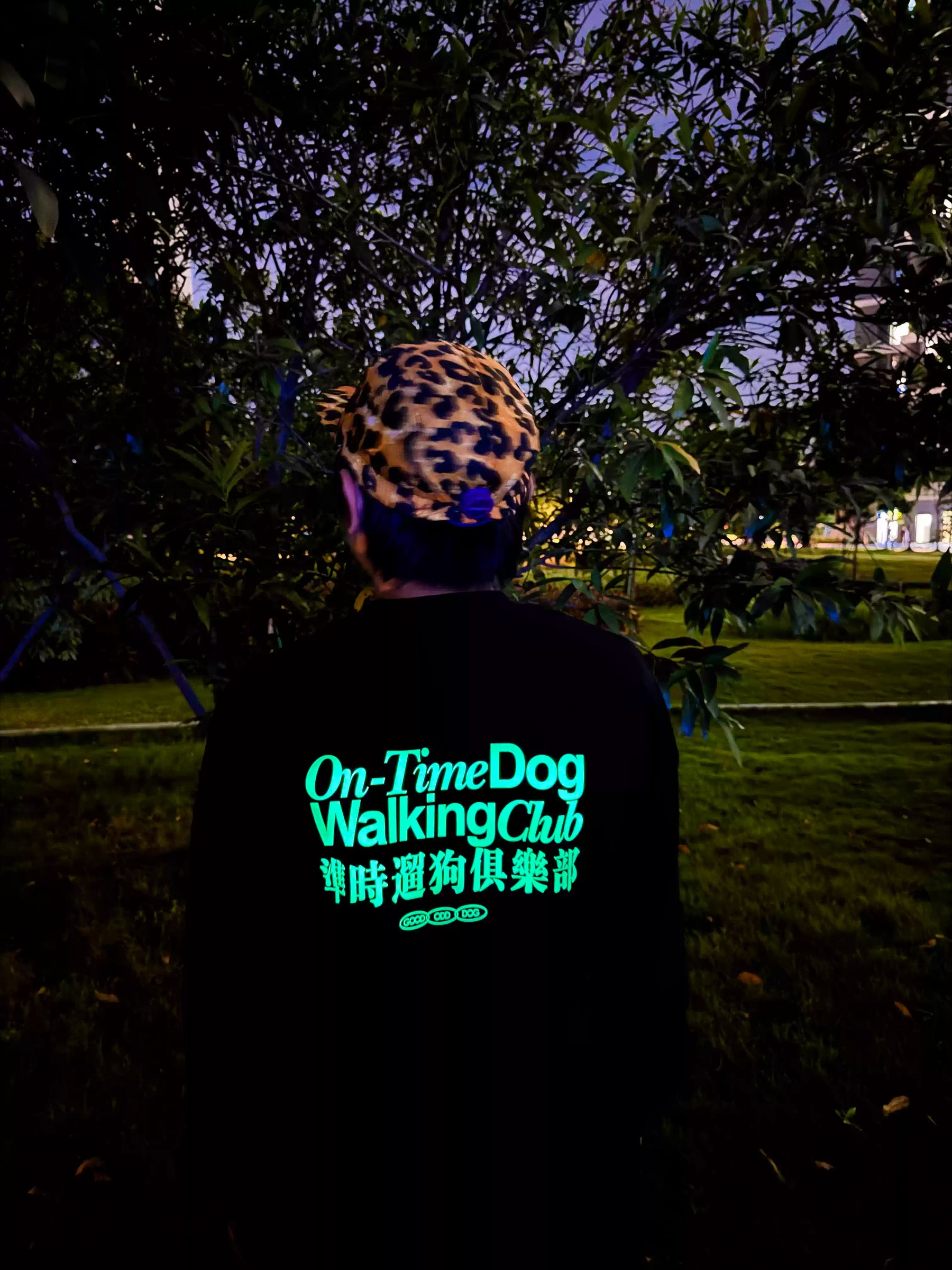 imgi_6_O1CN01AeKOpJ24qUcDrUGLQ_!!2219684747442.jpg_q50.jpg_