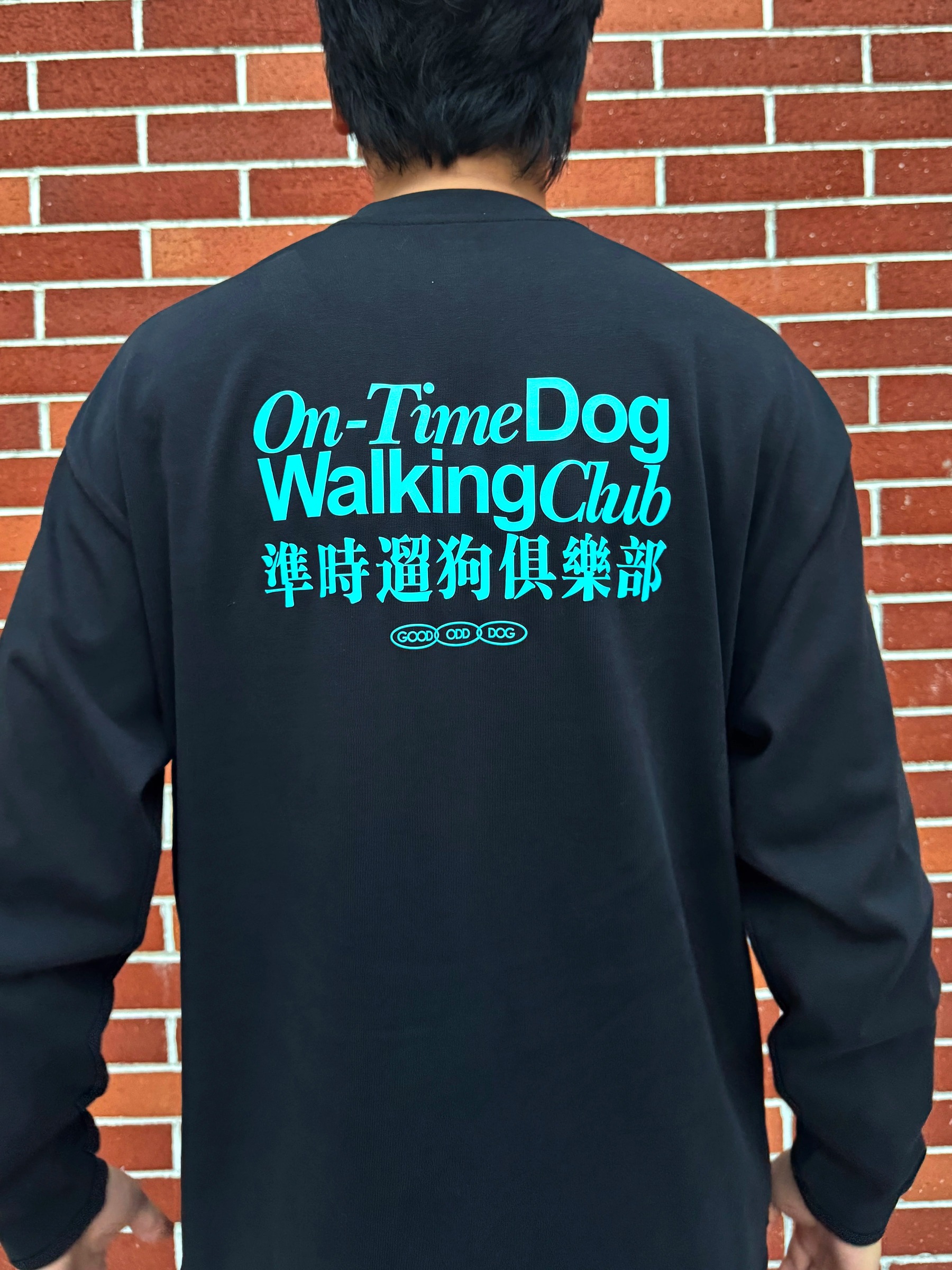 imgi_48_O1CN01DxHnVM24qUcDGF9QE_!!2219684747442