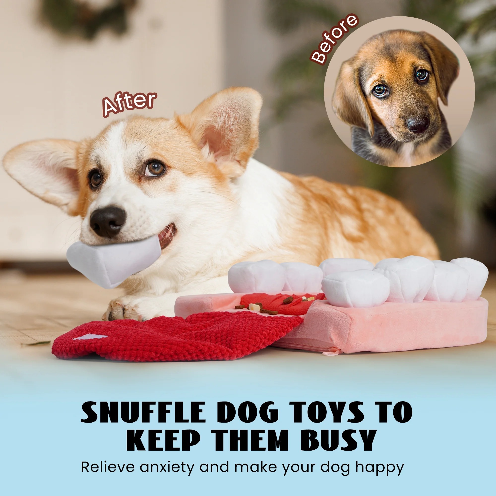 imgi_8_6_5a9de85d-0c5c-47b0-9f8e-89f7ce0d564f