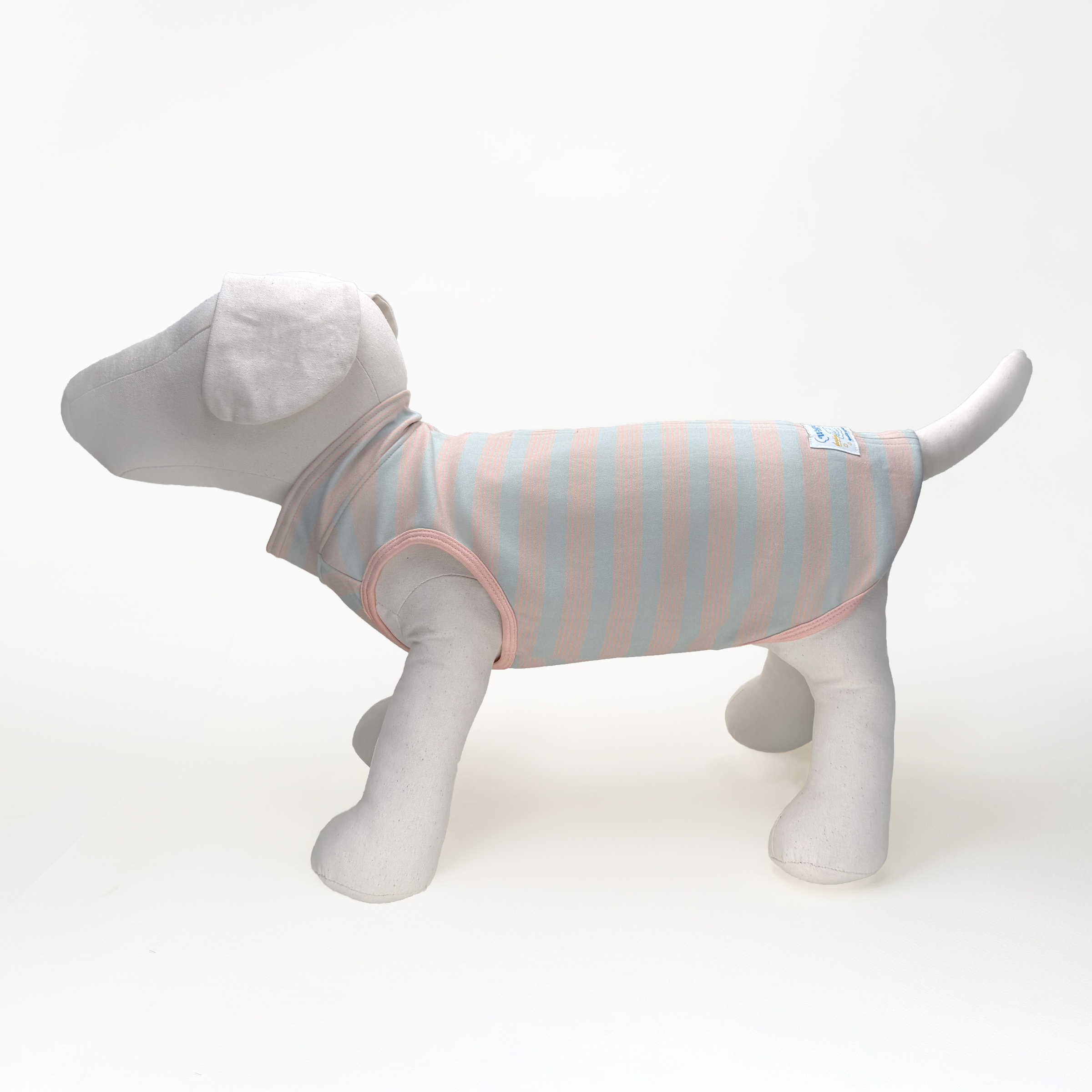 比比衣#柑橘清晨