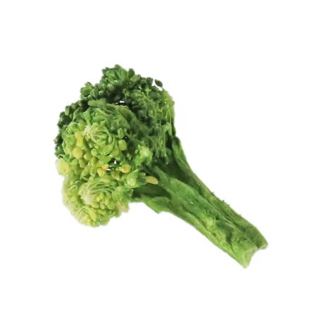 imgi_61_6a34b9ac-b109-4aac-8780-3738e418bbd1