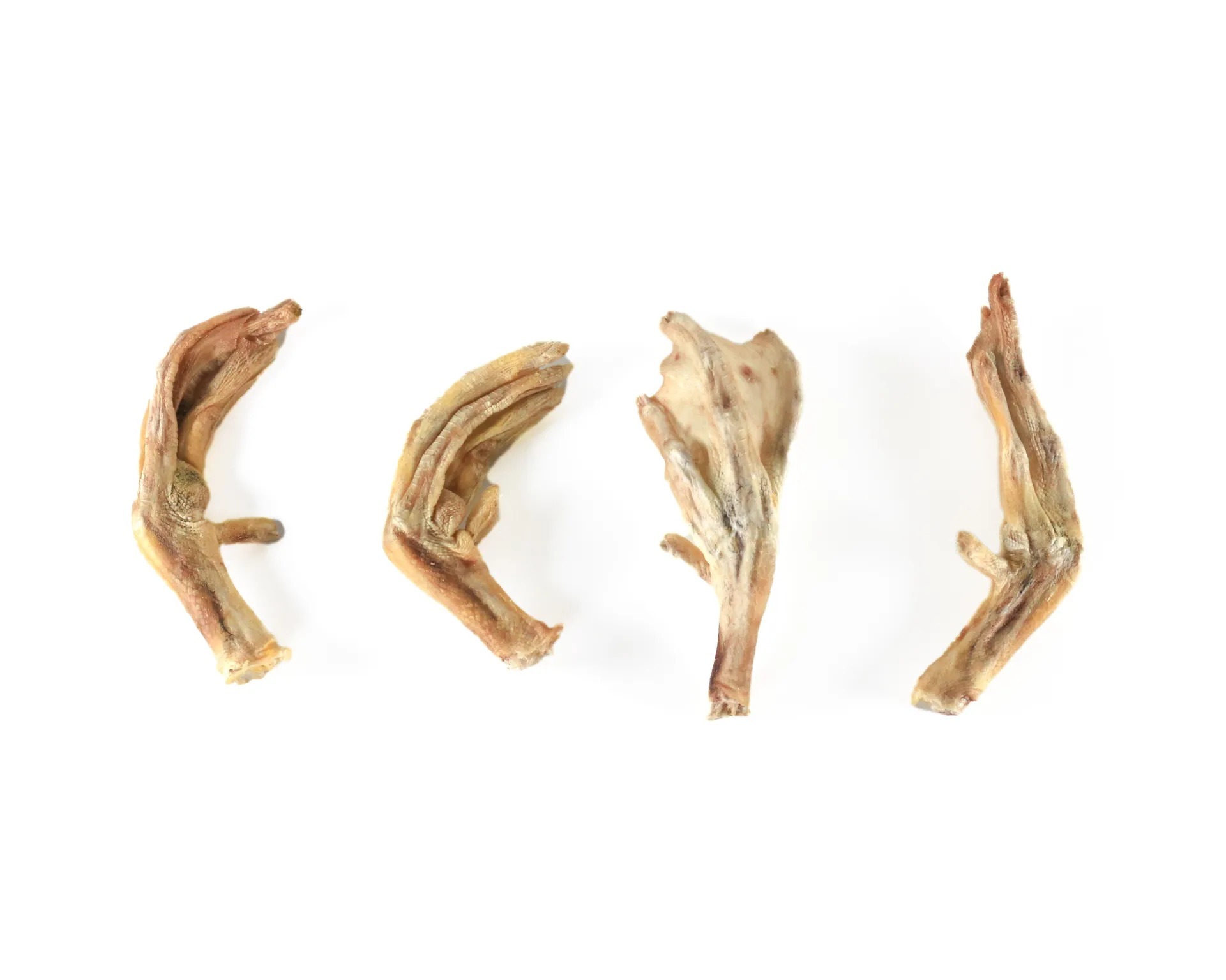 imgi_24_f370db9d-6aa9-4178-a5ff-39f30d75aac0