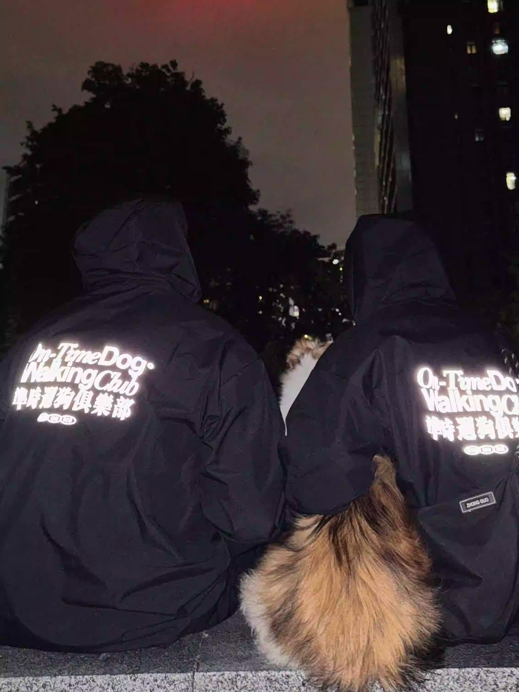 imgi_6_O1CN01cJnmJK24qUcYrxrvs~crop,378,1008,2268,3024~_!!2219684747442.jpg_q50.jpg_