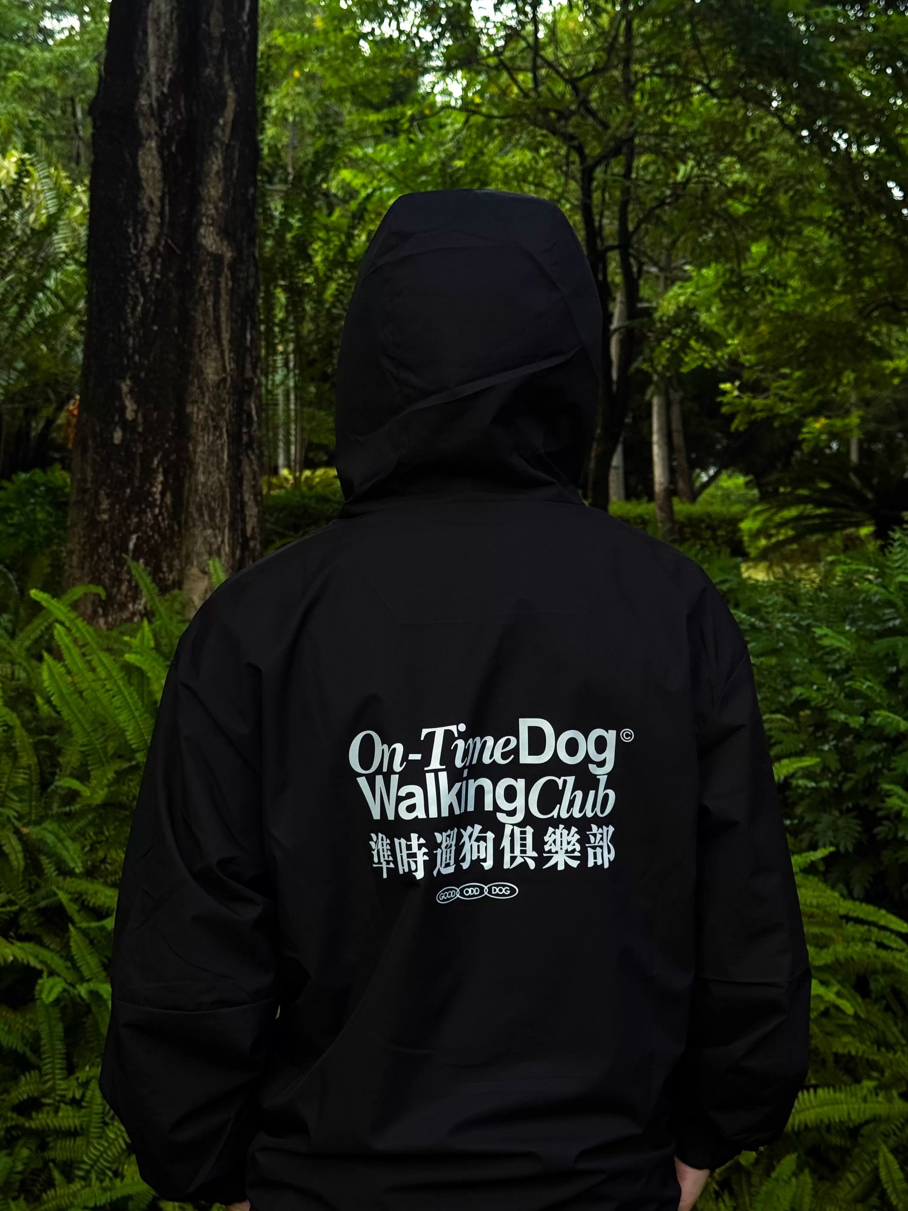 imgi_18_O1CN01ICoenY24qUcZQ7ZbL_!!2219684747442