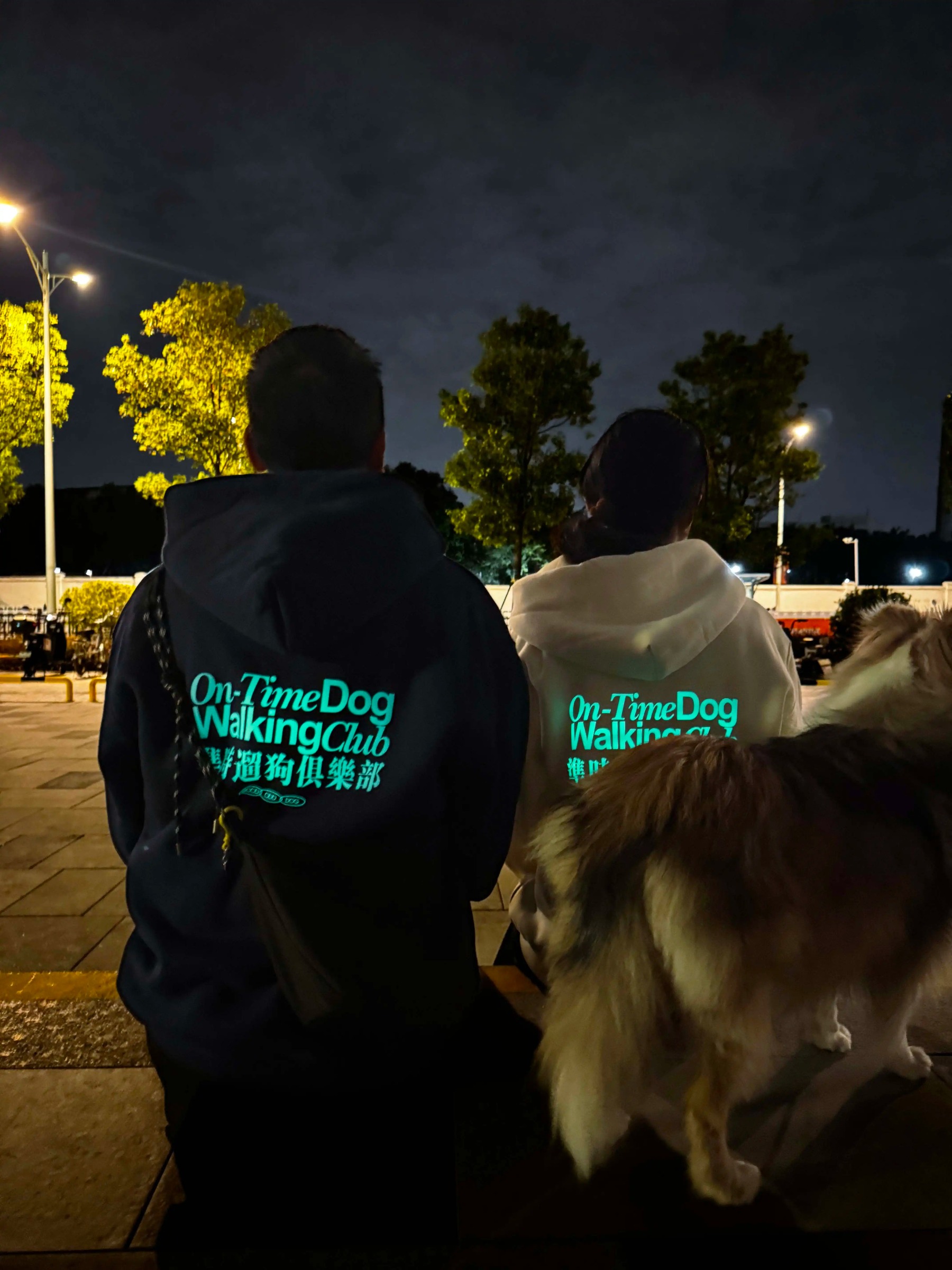 imgi_34_O1CN01oemvBV24qUcvwR0Sb_!!2219684747442