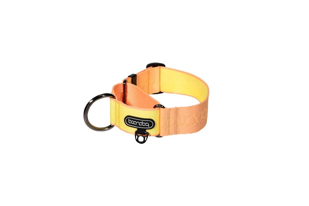 imgi_93_Martingale_Wide_Collar_Peach