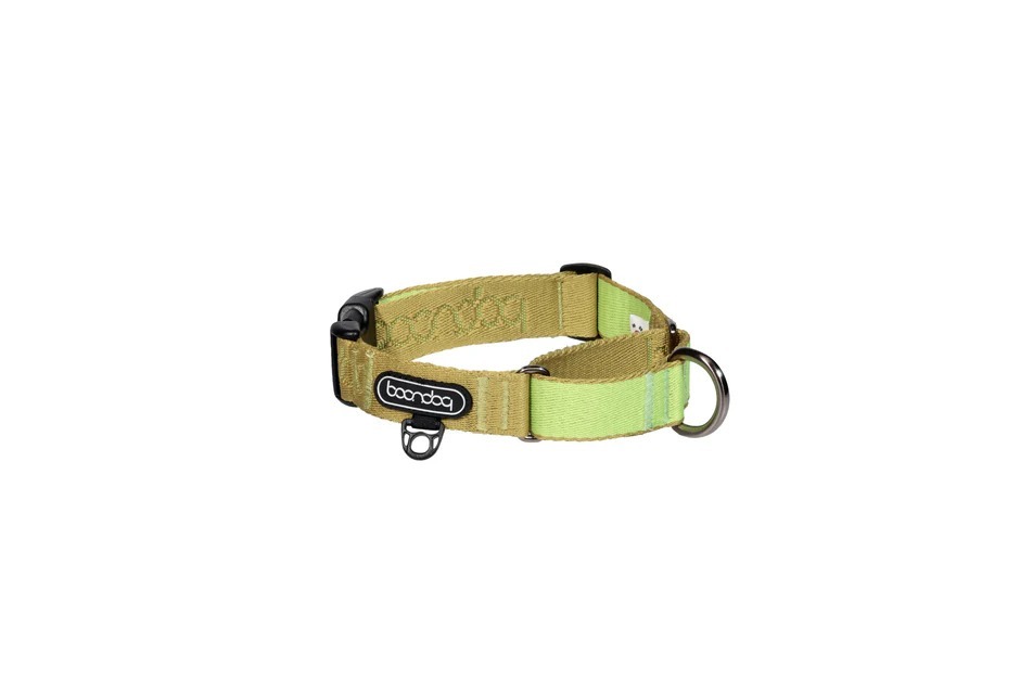 imgi_64_Martingale_Collar_Kiwi